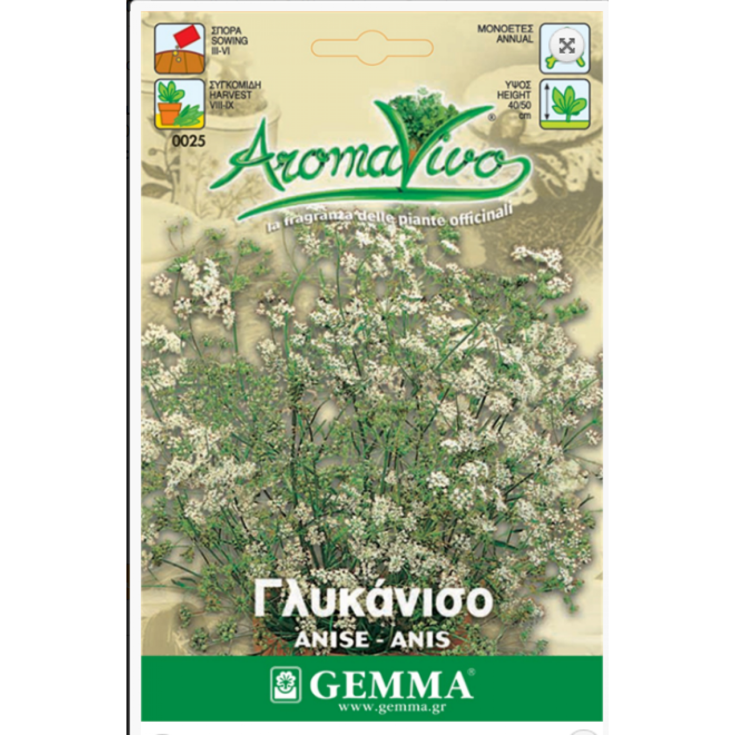 Anise Seeds Packet 12640 (Pimpinella anisum) - Seed for Anises Anise Seeds Packet 12640 (Pimpinella anisum)