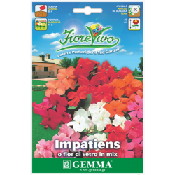 Busy Lizzie Mix Seeds 0.2g Packet (Impatiens walleriana) - Seed for Busy Lizzies Busy Lizzie Mix Seeds 0.2g Packet-Impatiens walleriana