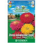 Ζίννια Καλιφόρνιας Διπλή Μίγμα 0,9g Σπόροι-Zinnia elegans