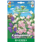 Καμπανούλα Μίγμα 0,5g Σπόροι (Campanula grandiflora)