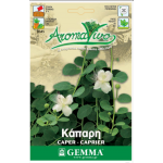 Caper Bush Seeds Packet 12646 (Capparis spinosa) - Seed for Caper Bushes Caper Bush Seeds Packet 12646 (Capparis spinosa)