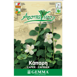 Caper Bush Seeds Packet 12646 (Capparis spinosa) - Seed for Caper Bushes Caper Bush Seeds Packet 12646 (Capparis spinosa)