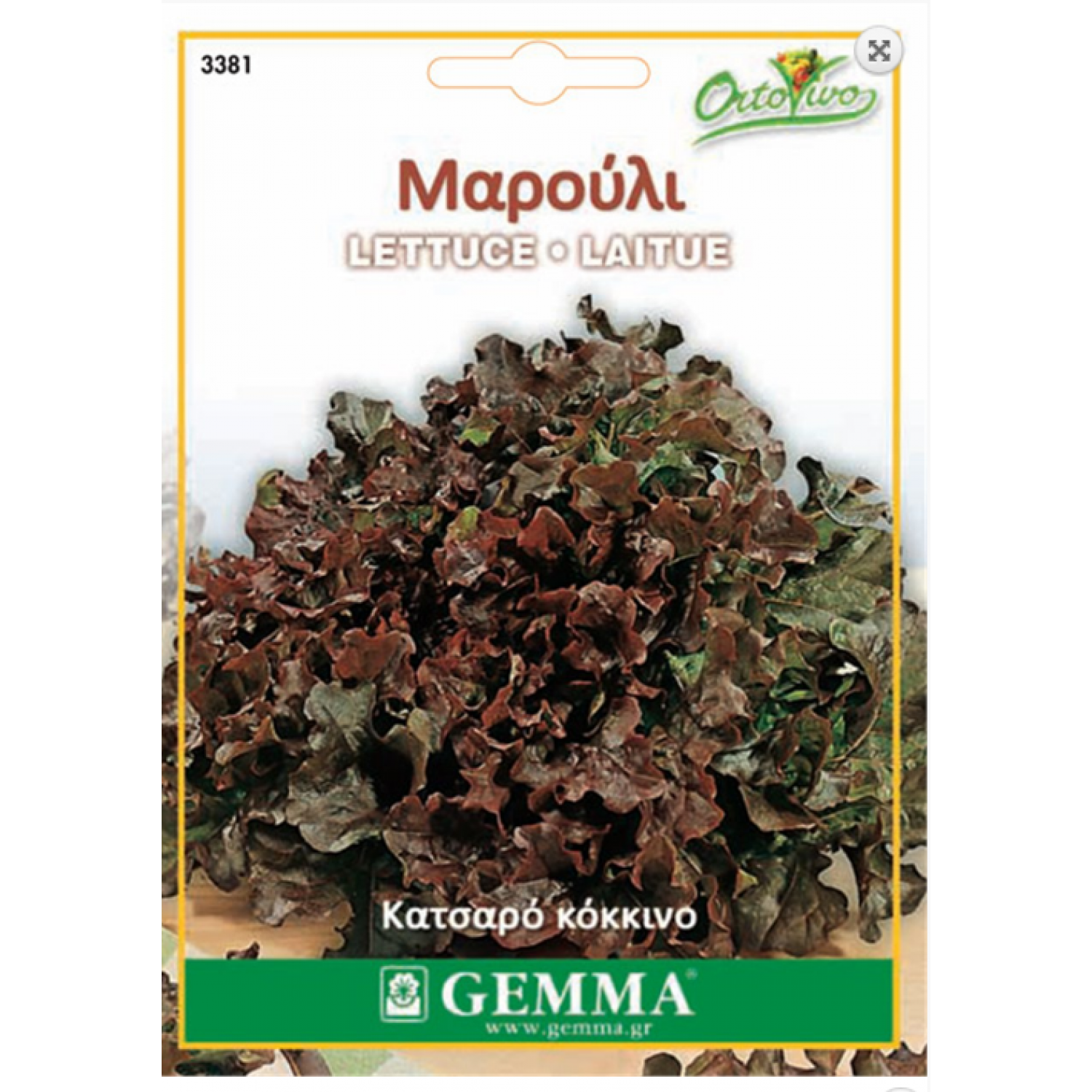 Lettuce Red Salad Seeds (Lactuca sativa) Lettuce Red Salad Seeds (Lactuca sativa) | kipogeorgiki.gr