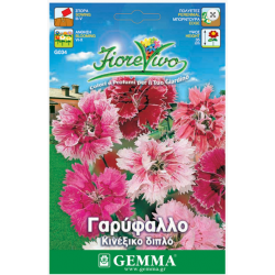 China Pink Double Mix Seeds 0.4g Packet (Dianthus chinensis) - Seed for China Pinks China Pink Double Mix Seeds 0.4g (Dianthus chinensis)