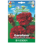 Carnation Double Red Seeds 0.4g Packet (Dianthus caryophyllus) - Seed for Double Red Carnations Carnation Double Red Seeds 0.4g (Dianthus caryophyllus)