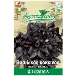 Βασιλικός Κόκκινος Σπόροι-Ocimum basilicum var. purpurascens