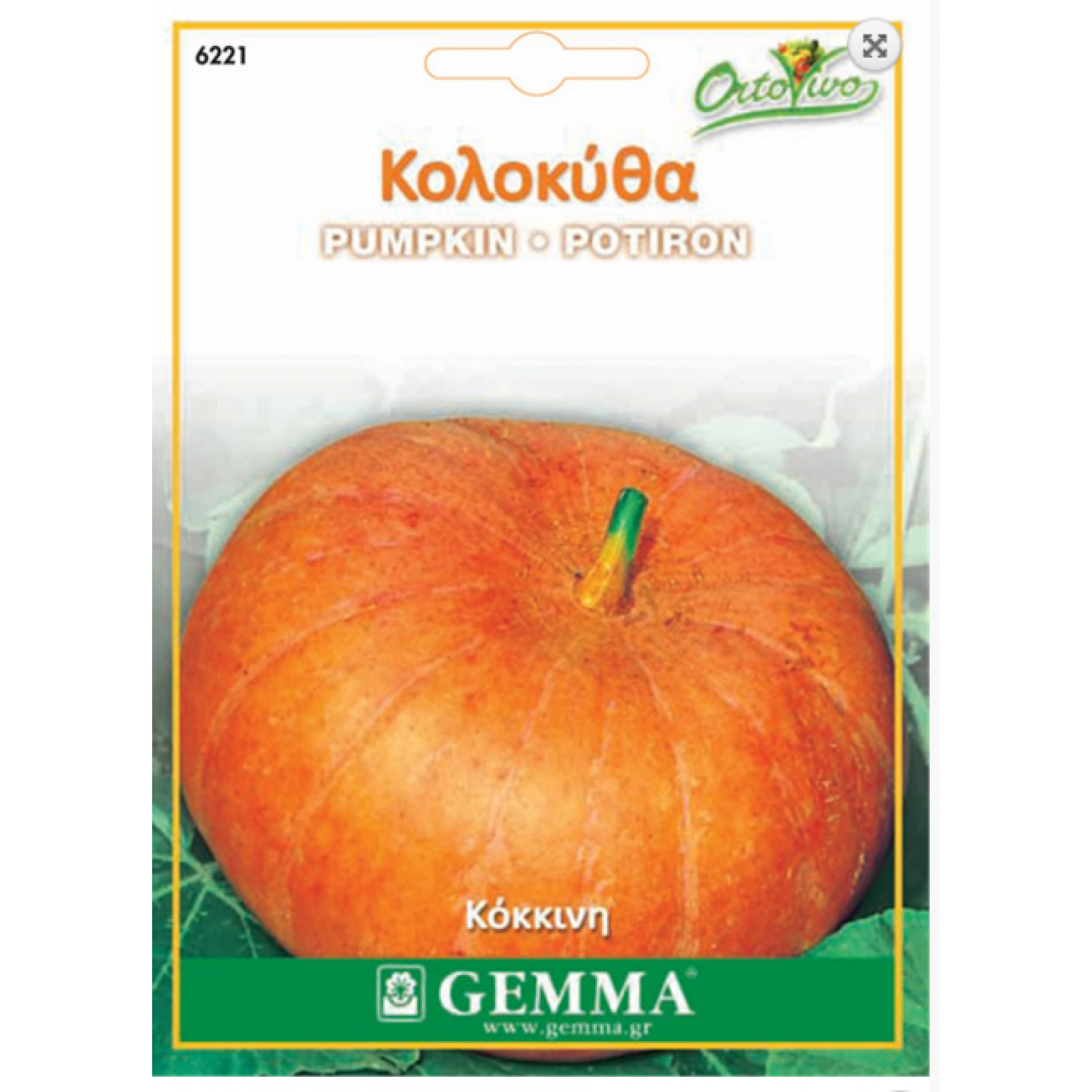 Quintale Seme Giallo Pumpkin Seeds 1.2g Packet