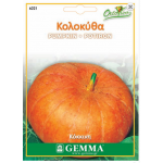Quintale Seme Giallo Pumpkin Seeds 1.2g Packet
