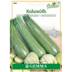 Κολοκυθάκι Μακρύ Ξανθό Κομποκολόκυθο Σπόροι (Curcubita pepo) | kipogeorgiki.gr