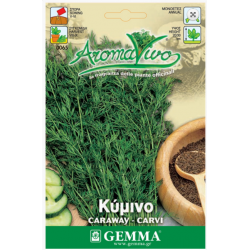 Caraway Seeds Packet 12664 (Carum carvi) - Seed for Caraways Caraway Seeds Packet 12664 (Carum carvi)