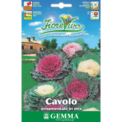Ornamental Kale Mix Seeds 0.2g-Brassica var. sabellica