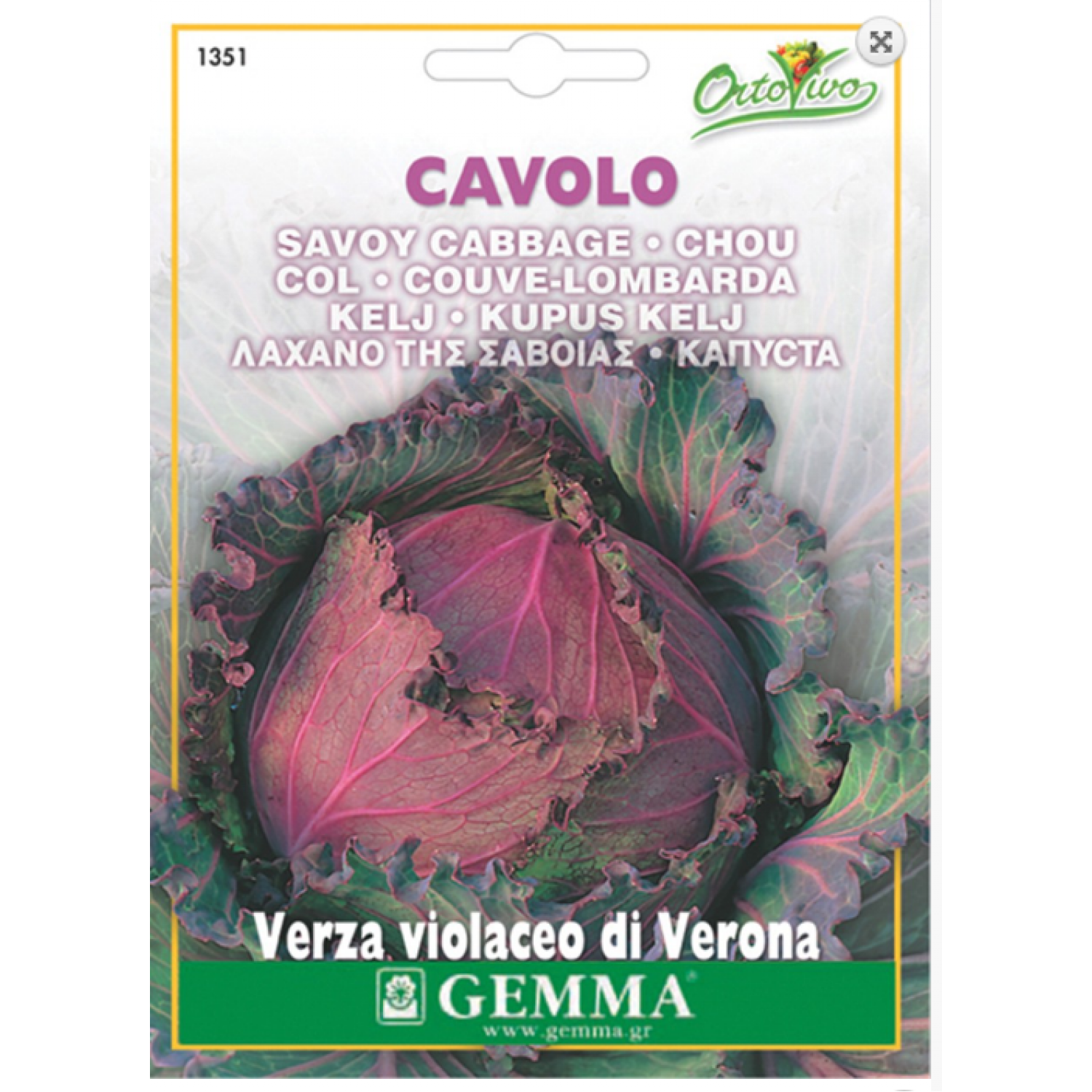 Λάχανο Βιολετί Verona Σπόροι (Brassica oleracea var. capitata 'Verona Purple')
