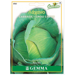 Cabbage White Brunswich Seeds (Brassica oleracea var. capitata)  Cabbage White Brunswich Seeds (Brassica oleracea var. capitata) | kipogeorgiki.gr