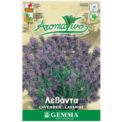 Λεβάντα Σπόροι Φακελάκι 12651 (Lavandula spica)