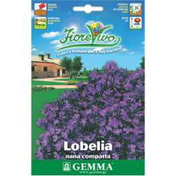 Blue Edging Lobelia Seeds 0.2g Packet (Lobelia erinus 'Nana Compatta') - Seed for Blue Edging Lobelias Blue Edging Lobelia Seeds 0.2g-Lobelia 'Nana Compatta'