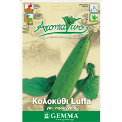 Κολοκύθι Σφουγγαριά Luffa (Luffa aegyptiaca) | kipogeorgiki.gr