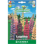 Large-Leaved Lupine Mix Seeds 1.8g Packet (Lupinus polyphyllus) - Seed for Lupines Large-Leaved Lupine Mix Seeds 1.8g-Lupinus polyphyllus