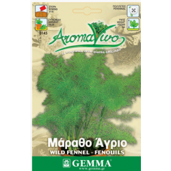 Μάραθο Άγριο ή Άγριος Μάραθος Σπόροι-Foeniculum vulgare