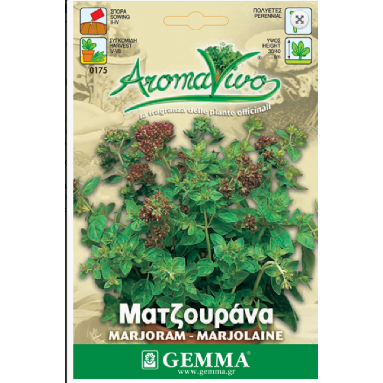 Ματζουράνα Σπόροι Φακελάκι 12653 (Origanum majorana)