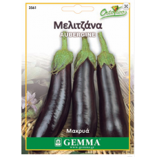 Μελιτζάνα Μακρυά Μαύρη Σπόροι (Solanum melongena) | kipogeorgiki.gr