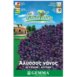 Sweet Alyssum Mauve Dwarf Seeds 0.8g-Alyssum maritimum