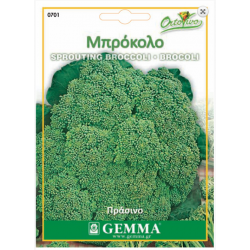 Broccoli Calabrese Seeds (Brassica oleracea var. Italica) Broccoli Calabrese Seeds (Brassica oleracea var. Italica) | |kipogeorgiki.gr