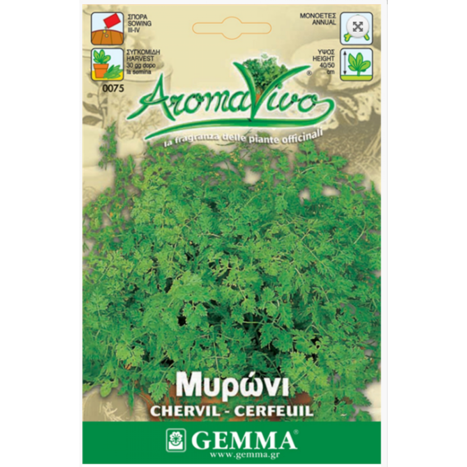 Μυρώνι ή Ανθρίσκος Σπόροι Φακελάκι 12655 (Anthriscus cerefolium) - Σπόρος για Μυρώνια Μυρώνι-Ανθρίσκος Σπόροι Φακελάκι-Anthriscus cerefolium