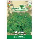 Μυρώνι ή Ανθρίσκος Σπόροι Φακελάκι 12655 (Anthriscus cerefolium) - Σπόρος για Μυρώνια Μυρώνι-Ανθρίσκος Σπόροι Φακελάκι-Anthriscus cerefolium