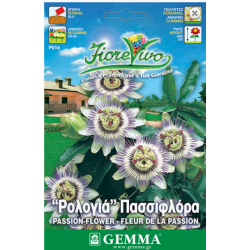 Passiflora incarnata seeds|kipogeorgiki.gr Passiflora incarnata seeds|kipogeorgiki.gr