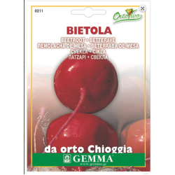 Beetroot Chioggia Seeds (Beta vulgaris) Beetroot Chioggia Seeds (Beta vulgaris) | |kipogeorgiki.gr
