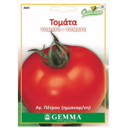 Tomato saint Pierre|kipogeorgiki.gr