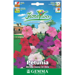 Πετούνια Νάνα Μίγμα 0,2g Σπόροι-Petunia 'Nana Compacta'