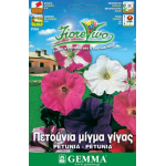 Garden Petunia Giant Mix Seeds 0.2g (Petunia × hybrida)