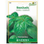 Great Basil Seeds Packet 12638 (Ocimum basilicum) - Seed for Great Basils Great Basil Seeds Packet 12638 (Ocimum basilicum)