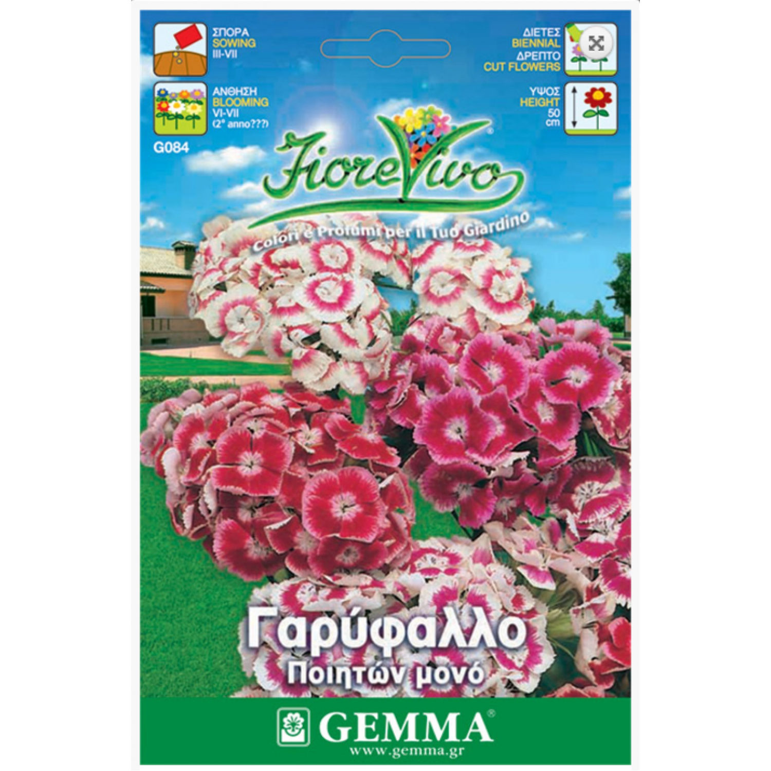 Γαρύφαλλο Ποιητών Μονό 0,4g Σπόροι Φάκελος (Dianthus barbatus) - Σπόρος για Γαρύφαλλα Ποιητών Γαρύφαλλο Ποιητών Μονό 0,4g Σπόροι (Dianthus barbatus)