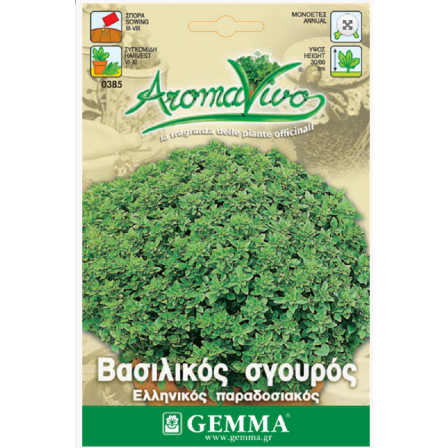 Greek Basil Traditional Seeds-Ocimum basilicum minimum