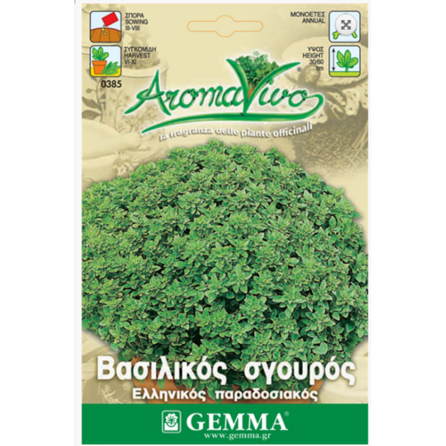 Greek Basil Traditional Seeds Packet 12636 (Ocimum basilicum var. minimum) - Seed for Greek Basils Greek Basil Traditional Seeds-Ocimum basilicum minimum