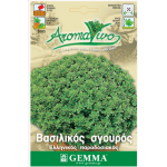 Greek Basil Traditional Seeds Packet 12636 (Ocimum basilicum var. minimum) - Seed for Greek Basils Greek Basil Traditional Seeds-Ocimum basilicum minimum