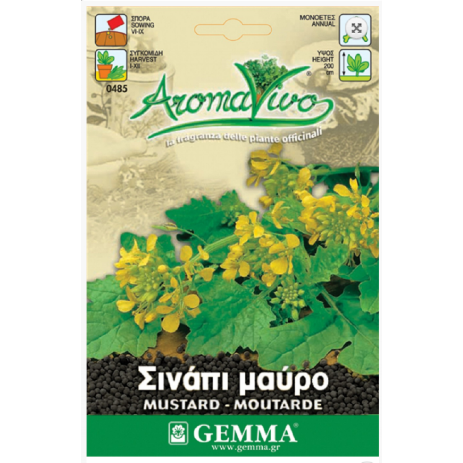 Σινάπι Μαύρο-Μαύρη Βρούβα Σπόροι (Brassica nigra)