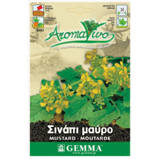 Black Mustard Seeds Packet 12666 (Brassica nigra)