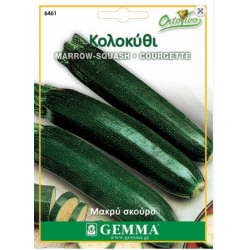 Squash Long Dark Seeds (Curcubita pepo) | kipogeorgiki.gr