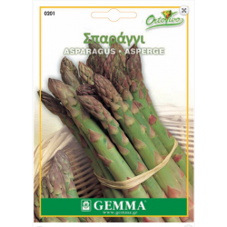 Asparagus officinalis|kipogeorgiki.gr