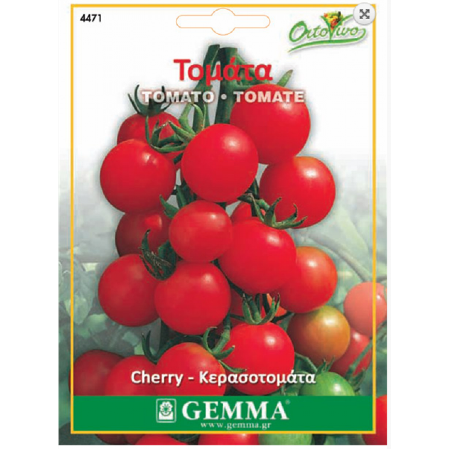 Tomato cherry|kipogeorgiki.gr