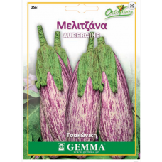 Μελιτζάνα Τσακώνικη Σπόροι (Solanum melongena) | kipogeorgiki.gr
