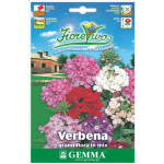 Βερβένα Γίγας Μίγμα 0,2g Σπόροι Φάκελος (Verbena × hybrida) - Σπόρος για Βερβένες Βερβένα Γίγας Μίγμα 0,2g Σπόροι Φάκελος (Verbena × hybrida)