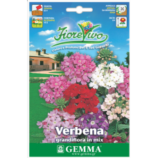 Βερβένα Γίγας Μίγμα 0,2g Σπόροι Φάκελος (Verbena × hybrida)