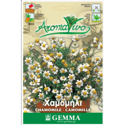 Chamomile Seeds Packet 12659 (Matricaria chamomilla) - Seed for Chamomiles Chamomile Seeds Packet 12659 (Matricaria chamomilla)