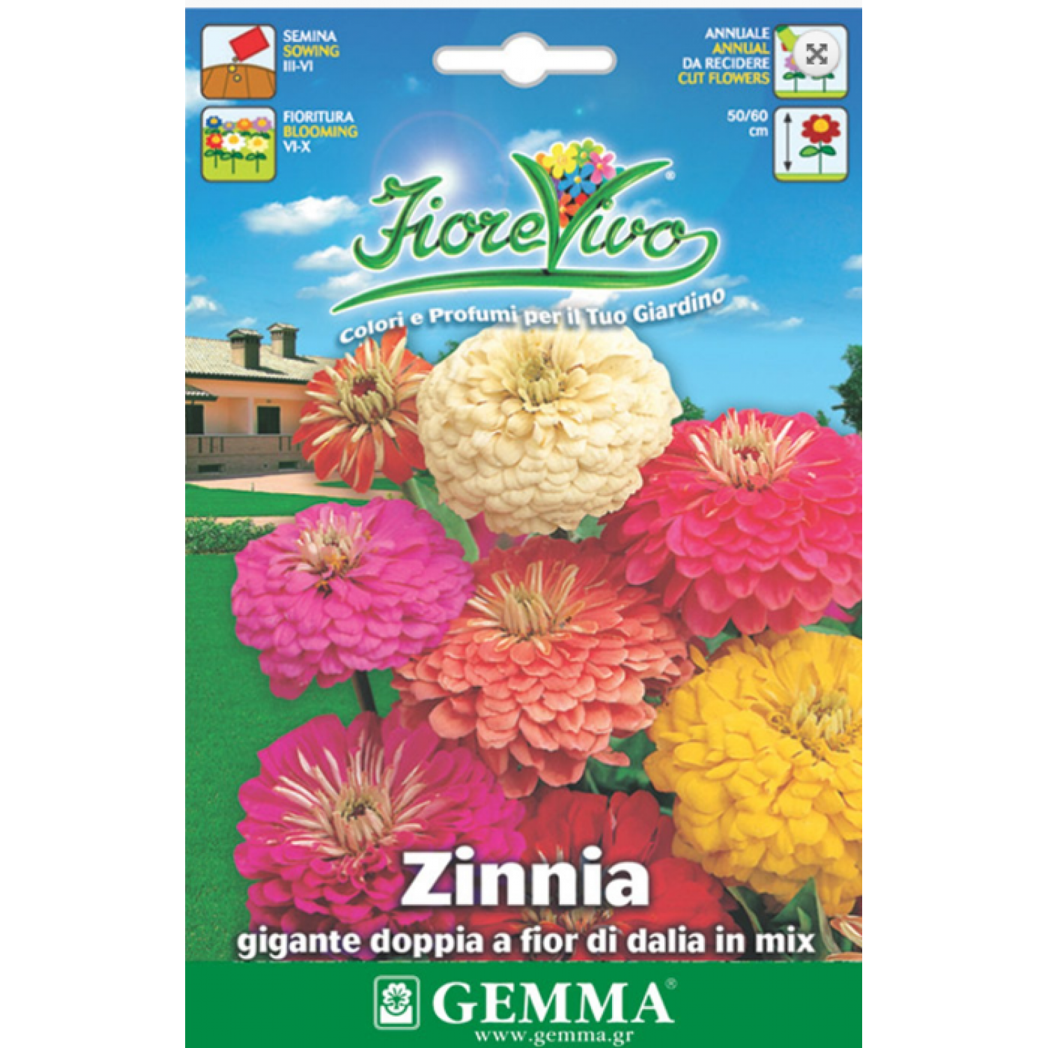 Common Zinnia Double Mix Seeds 0.9g (Zinnia elegans)