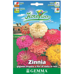Common Zinnia Giant Double Mix Seeds 0.9g Packet (Zinnia elegans) - Seed for Zinnias Common Zinnia Double Mix Seeds 0.9g (Zinnia elegans)
