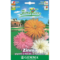 Common Zinnia Giant Cactus Mix Seeds 0.9g Packet (Zinnia spp.) - Seed for Zinnias Common Zinnia Giant Cactus Mix Seeds 0.9g-Zinnia spp.